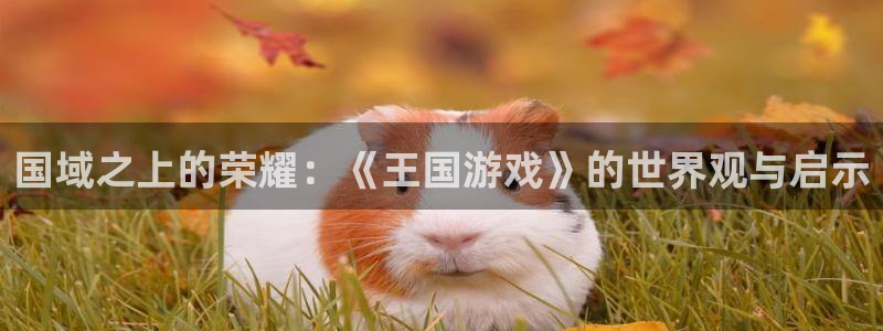 游艇会是干什么的